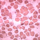 Illustration for article titled Answer Key: Metal Band or Microbe?